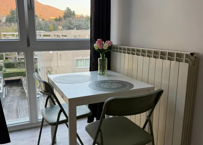 公寓 Casa Silvana - Renovated 科莫